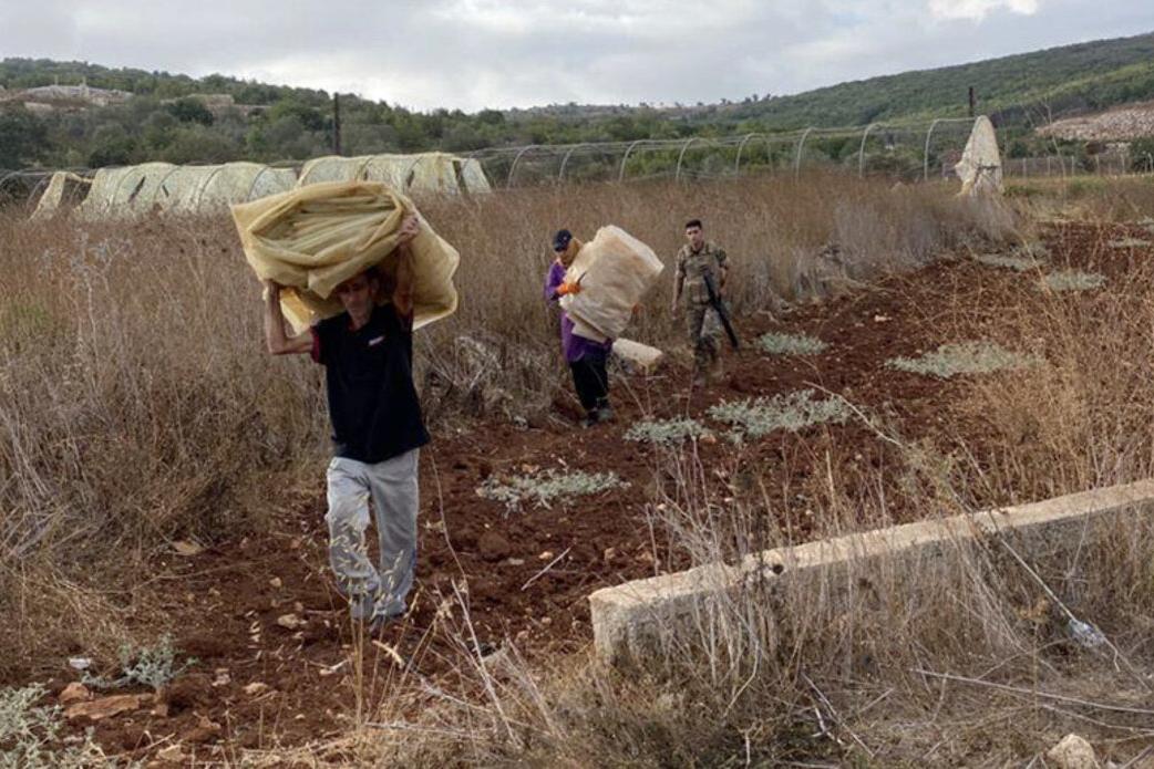 Protecting harvests, supporting livelihoods in south Lebanon Protecting harvests, supporting livelihoods in south Lebanon