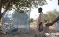Rearing chickens under a mosquito net in Dania, in the department of Vavoua (Dania, Februray 2016) 