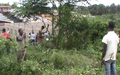 Les jeunes de Tabou sensibilisés à la paix et à la réconciliation lors d’une opération d’assainissement