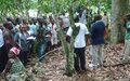  L’ONUCI finance la formation de 500 producteurs de cacao de Bloléquin